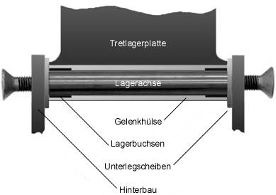 Hinterbaugelenk