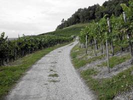 Weinberg